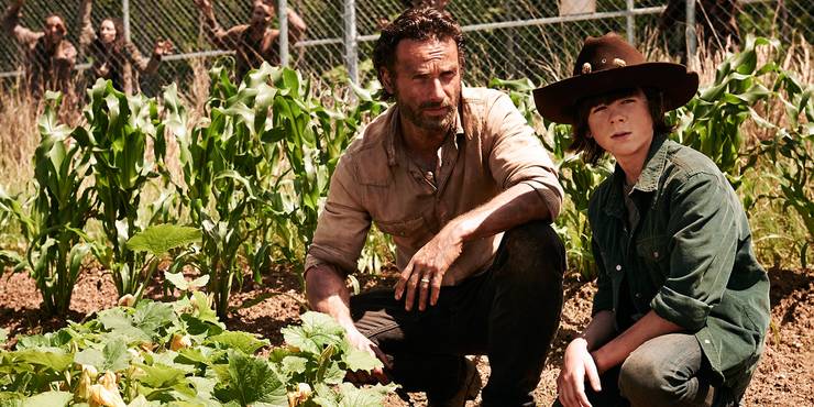 Walking Dead 15 Things You Didnt Know About Carl Grimes Walking Dead 15 Things You Didnt Know About Carl Grimes